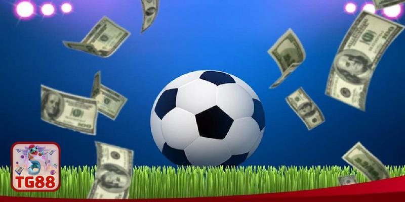 Thể thao SBO - Tổng quan nền tảng và định hướng phát triển Thể thao SBO - Tổng quan nền tảng và định hướng phát triển